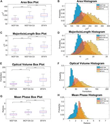 Automated Classification of Breast Cancer Cells Using High-Throughput Holographic Cytometry